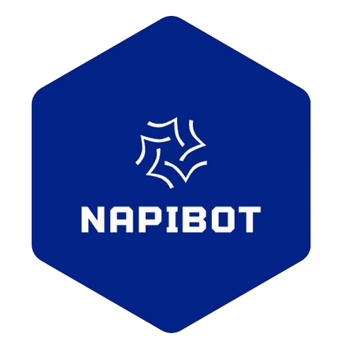 Napi Bot Logo