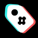 TikTok Video Tags & Summary Extension - Chrome Extension Logo