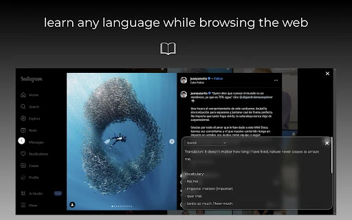 BrowserTranslate - Chrome Extension - AI Tool Ocean