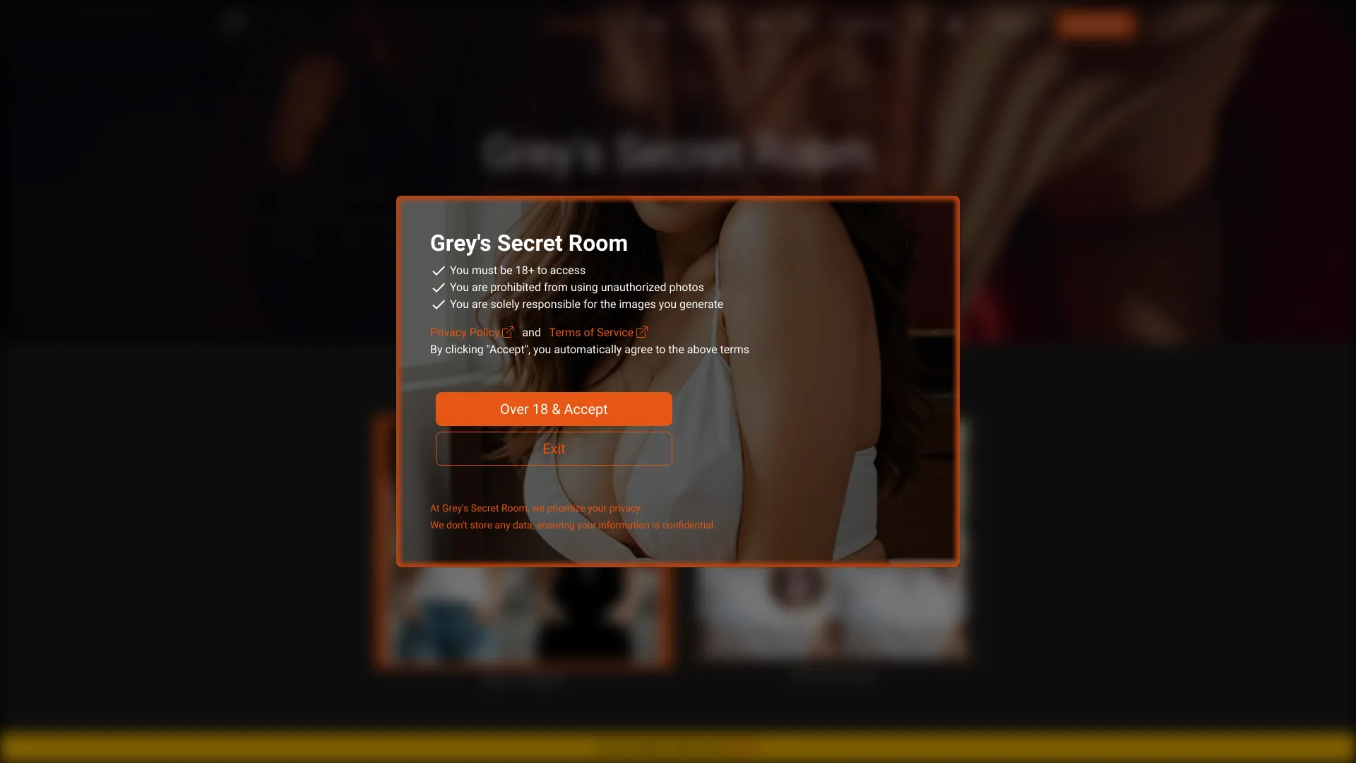 Grey's Secret Room - AI Tool Ocean