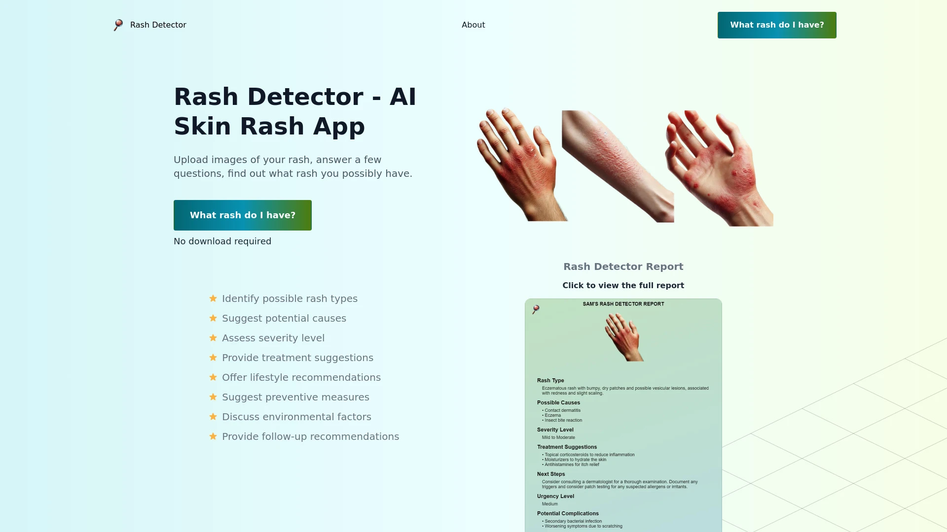 Rash Detector - AI Tool Ocean