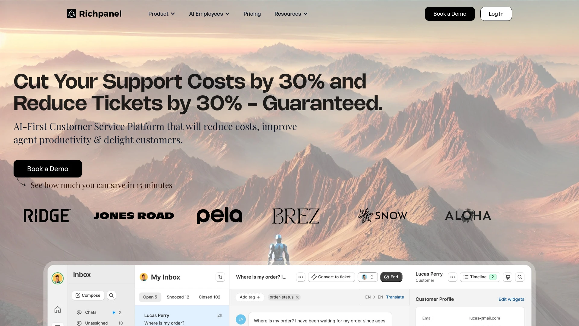 Richpanel - AI Tool Ocean