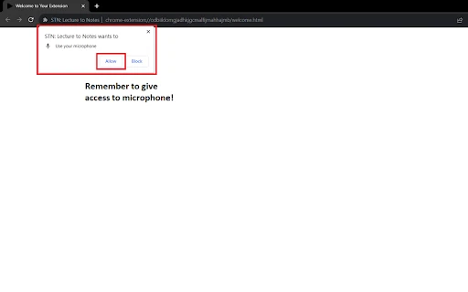 STN - Speech To Notes - Chrome Extension - AI Tool Ocean