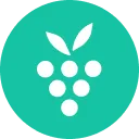 Berrycast - Chrome Extension Logo