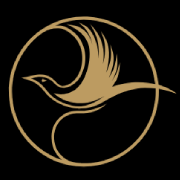 General Reasoning Logo