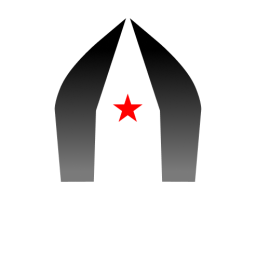 Niddam Logo