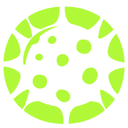 ParasiteSEO.com Logo