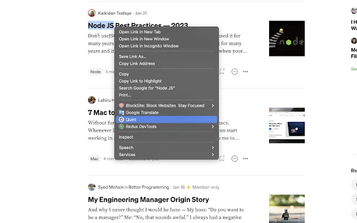 AI Extension - Chrome Extension - AI Tool Ocean