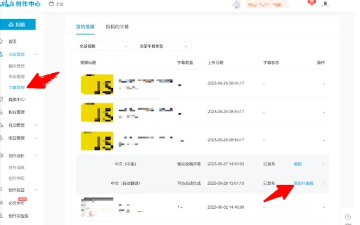 Bilibili AI Subtitle Converter - Chrome Extension - AI Tool Ocean