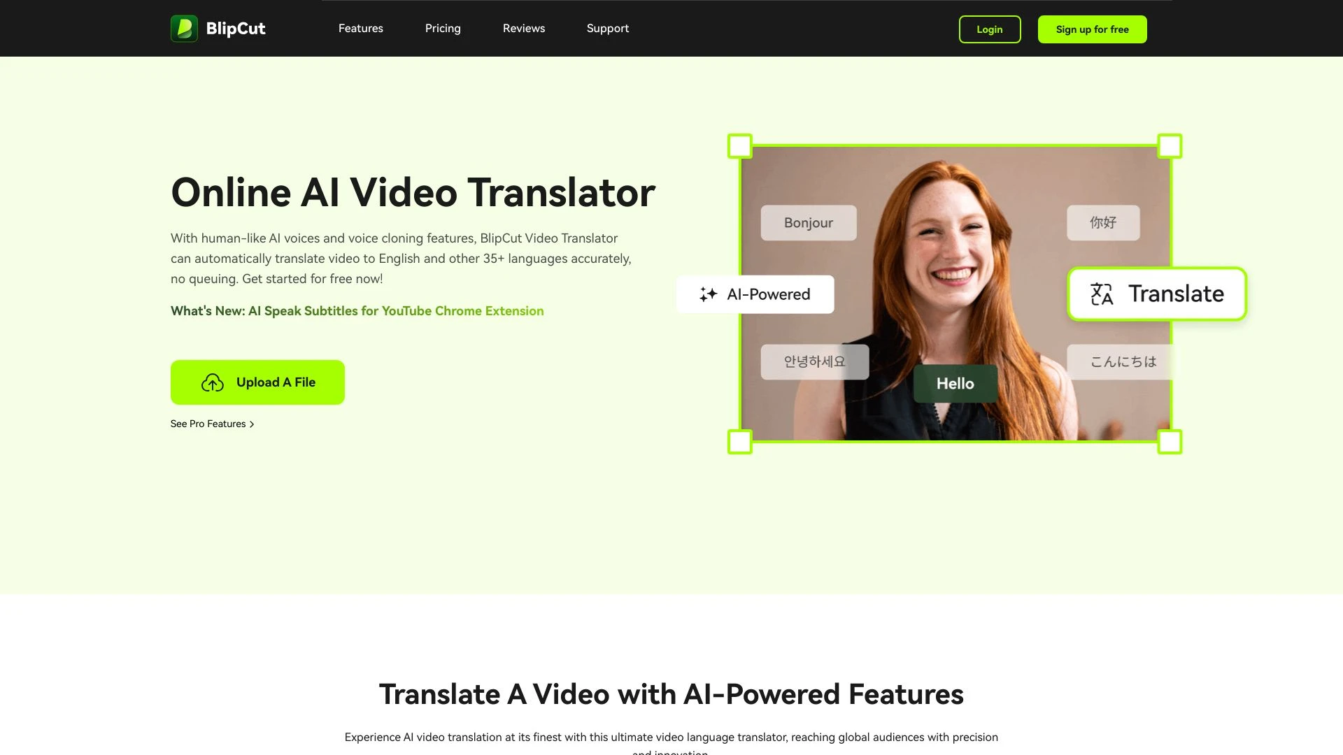 BlipCut AI Video Translator - AI Tool Ocean