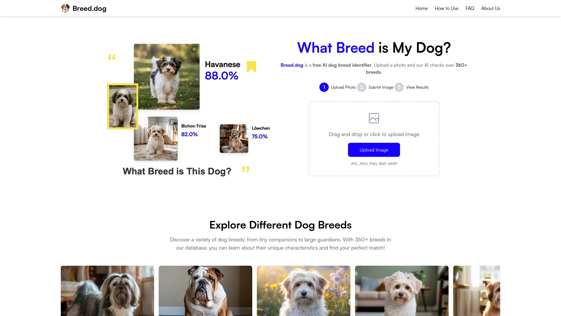 Breed.dog - AI Tool Ocean