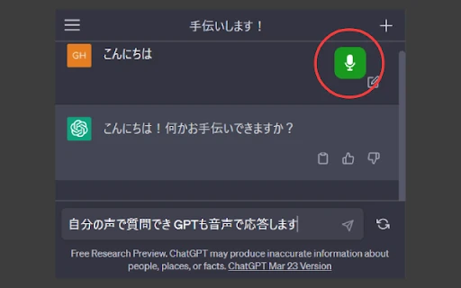 ChatGPT Voice Conversation Add-on - Chrome Extension - AI Tool Ocean