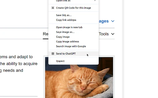 ChatGPT Xtra - Chrome Extension - AI Tool Ocean