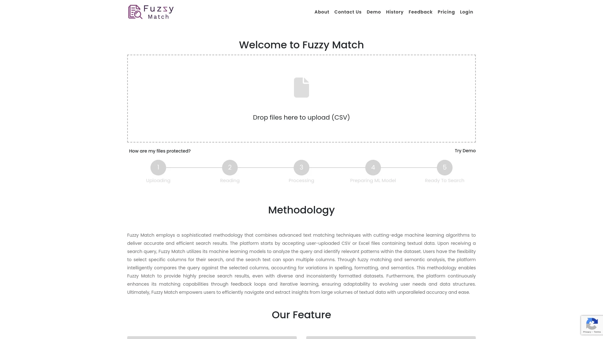 Fuzzy Match - AI Tool Ocean