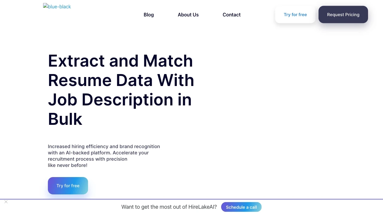 HireLakeAI - AI Tool Ocean