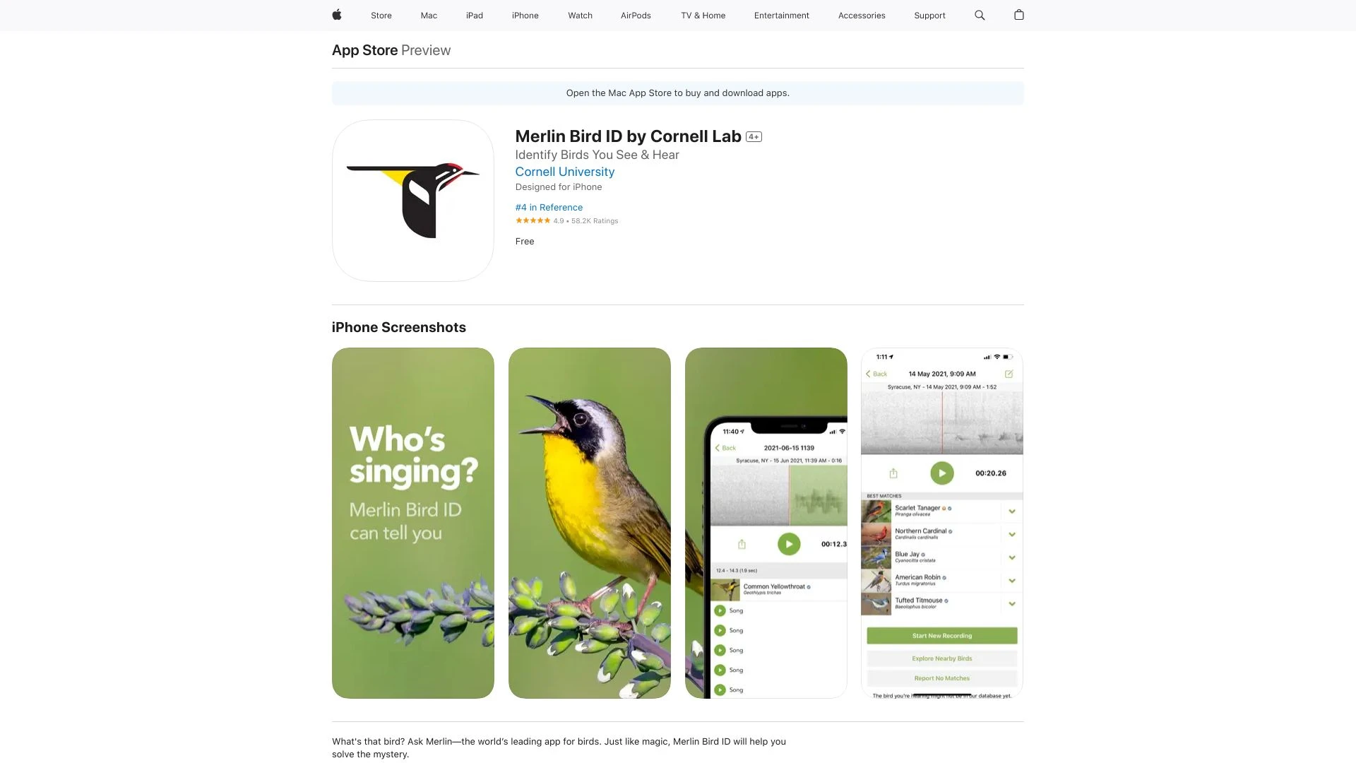 Merlin Bird ID by Cornell Lab - AI Tool Ocean