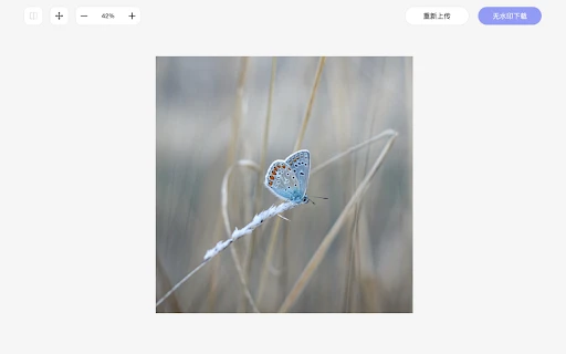 Online Image Watermark Remover - Chrome Extension - AI Tool Ocean