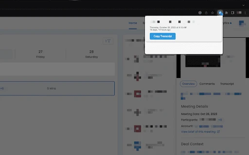 Transcript Helper for Chorus.ai - Chrome Extension - AI Tool Ocean